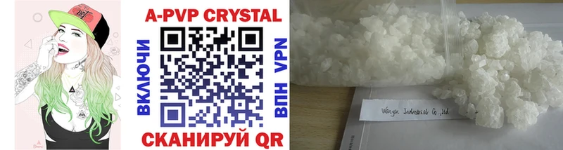 Купить  Стародуб  А ПВП крисы CK 