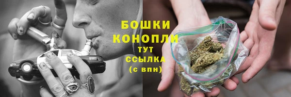 гидра Нея
