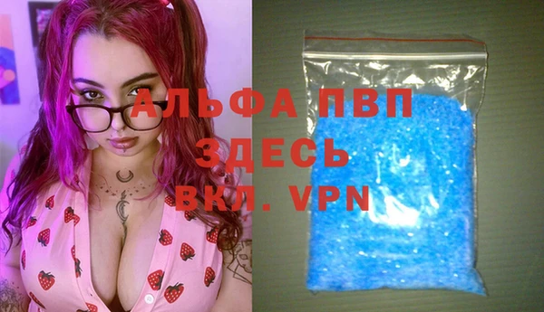 гидра Нея