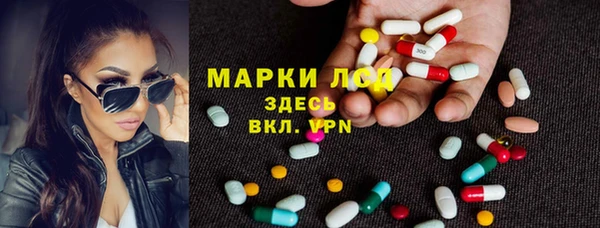 гидра Нея