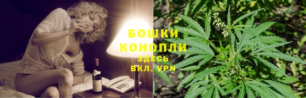 гидра Нея