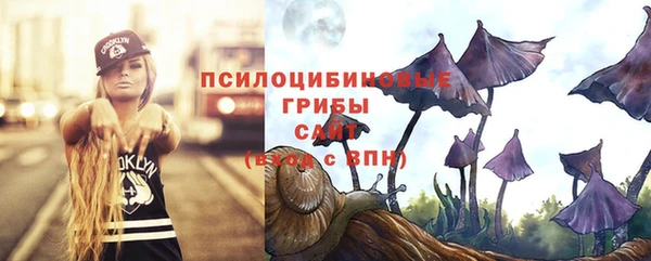 гидра Нея