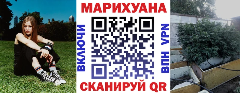 Купить где  Стародуб  Конопля ГИДРОПОН 